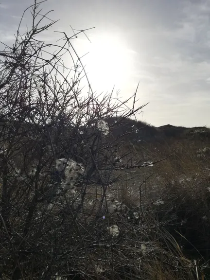 De Panne (België)